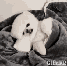 193d5573326da8974d3ce7d815073c5d_1658413528_8308.gif