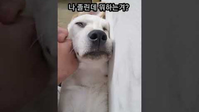 나 졸린데 뭐하는겨?