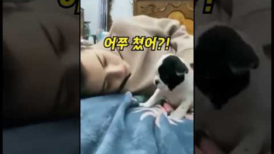 강아지에게 까불자...