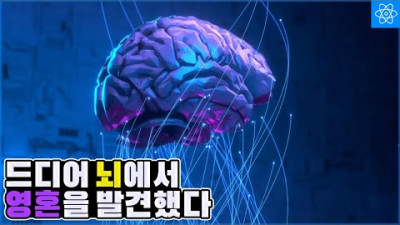 우리의 의식과 뇌의 놀라운 연산능력에 대해 밝혀지는 비밀