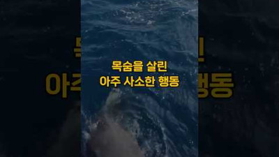 목숨을 살린 아주 사소했던 행동