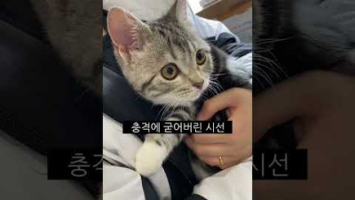 겁먹은 쪼랭이떡