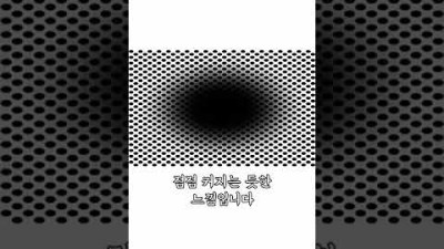 신기한 착시 현상 TOP 3