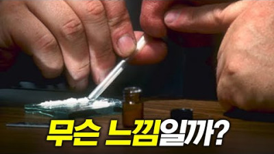 Ma약 하면 Z됨