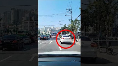 [급발진] 앞으로 이런 차 보이면 내 과실 100%여도 그냥 갖다 박으세요 (진심입니다)