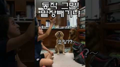 동작그만!맡장빼기냐?