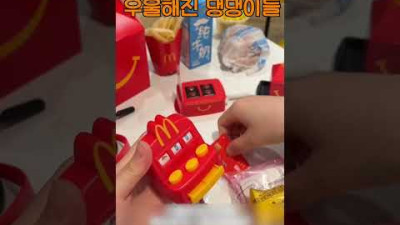 맥도날드 모자 때문에 우울해진 댕댕이들