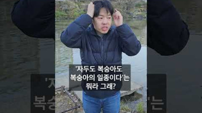 모모!