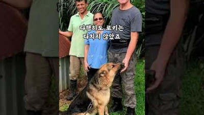 녹슨 강아지 집이 7200만원?