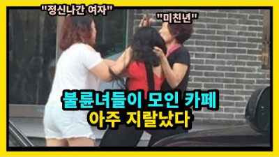 [댓 주목] 불륜녀들이 모인 카페 아주 ㅈㄹ났다