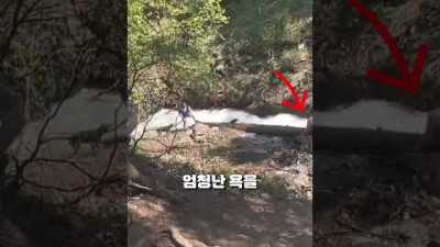 강아지를 구조한 남자가 분노한 이유
