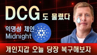 DCG도 물렸다, 카르다노 에이다 익명성 사이드체인 개발, 개인지갑 복구 오늘 당장 시도! | 비트슈아