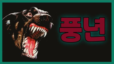 멍멍 멍멍 멍멍