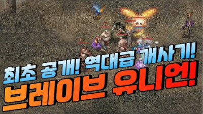최초 공개 역대급 개사기 브레이브 유니언! [리니지 태산군주]