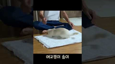 아기강아지 데려오지 말랬던 아버지 [왜 제목들이 이 따위야]