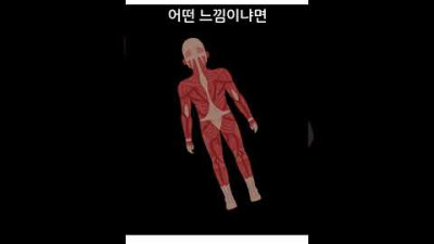 30,000볼트 전압에 감전되면 어떤 느낌일까?