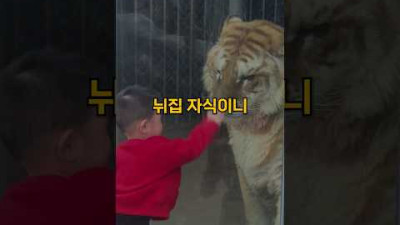 어린 아이와 늙은 호랑이#shorts