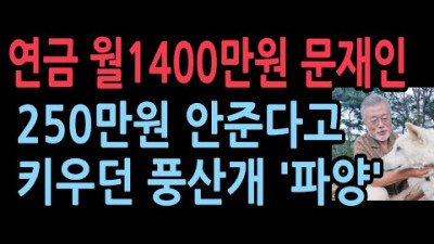 양산 데려간 ‘김정은 풍산개’ 3마리, 관리비 월 250만원 예산 요구하다가...