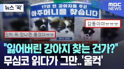 [뉴스'꾹'] 잃어버린 강아지 찾는 건가? 무심코 읽다가 그만..'울컥' (2023.06.09/MBC뉴스)
