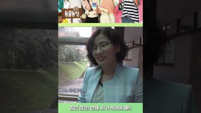 아무리 인터뷰 중이어도 고양이는 못 참지! #shorts #TV동물농장 #AnimalFarm #SBSstory