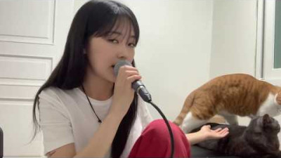 CRUSH-NAPPA 나빠 (MEENOI COVER) + cat ^^