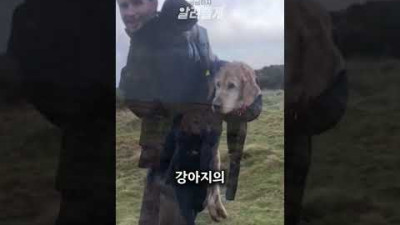 정상에서 강아지를 발견한 부부