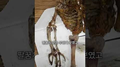 한국에서 파는 치킨은 개고기다