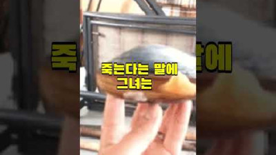 요즘 MZ세대들이 조개를 애완동물로 키우는 이유