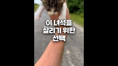 고양이한테 당해버린 남성
