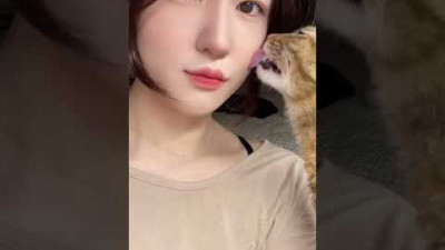 이 영상에 고양이가 몇마리 등장할까요?