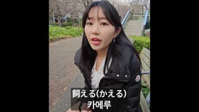 카에루!