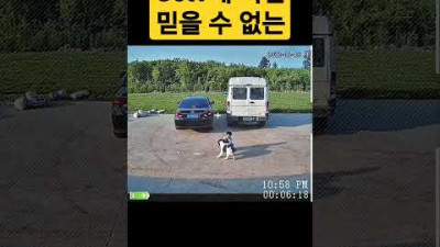 보고도 믿기지 않는 아이의 목숨을 구한 개🐕 #shorts