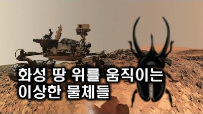 화성(Mars) 땅 위를 움직이는 벌레 형태의 이상한 물체들
