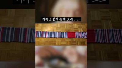 뜨개질로 철도 회사 욕하는 엄마 (연착 개싫음)