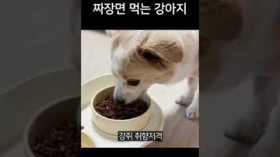 아무튼 짜장면