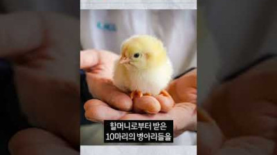 자신의 재능을 얼떨결에 발견해버린 하림그룹의 김홍국