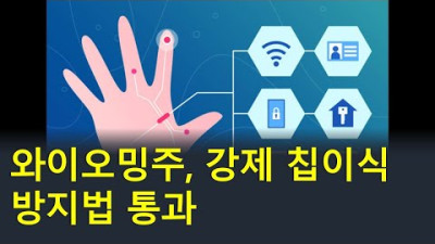 디지털통화는 인플레이션의 대책이 될 수 있을까?