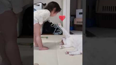 아기와 고양이는 서로 대화가 통한다?! #shorts