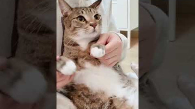 뚜리뚜바도 웬즈데이🫳